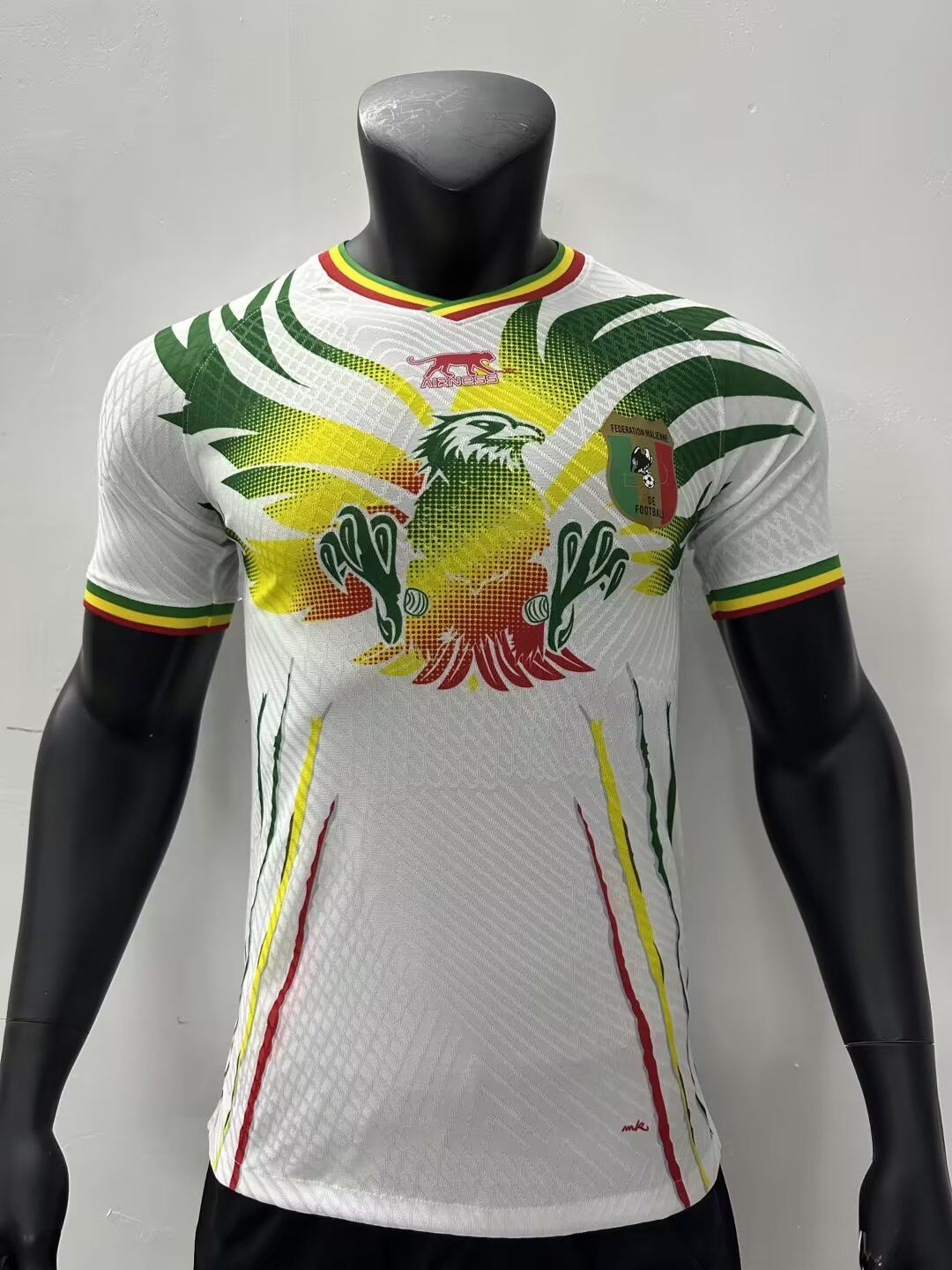 AAA Quality Mali 2023 Africa Cup Home Soccer Jersey(Player)
